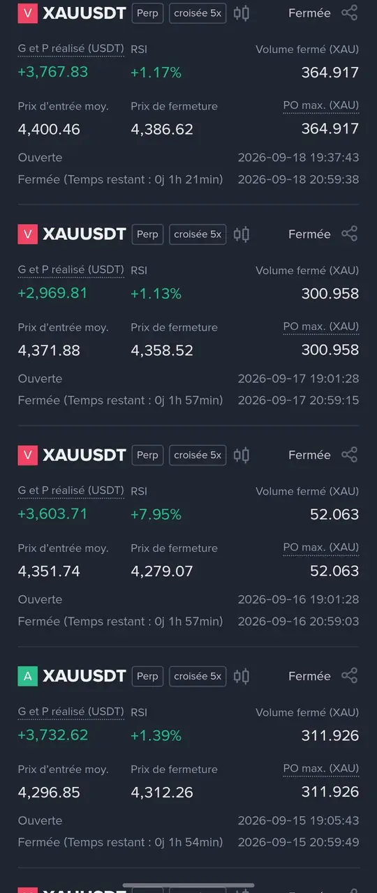 Relevé de résultats n° 2 de la méthode RSI sur trois timeframes